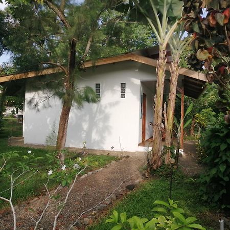 Cabinas Los Tucanes Cahuita Buitenkant foto