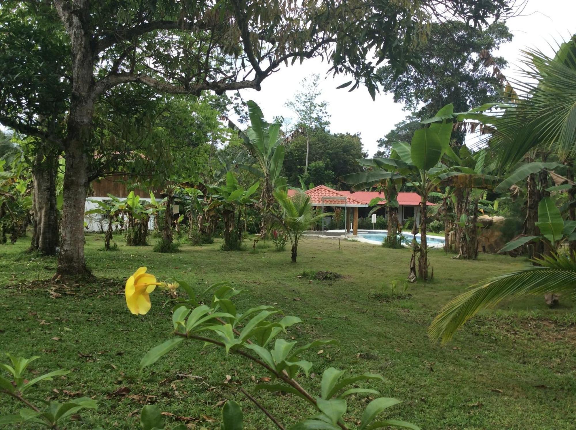 Cabinas Los Tucanes Cahuita Buitenkant foto