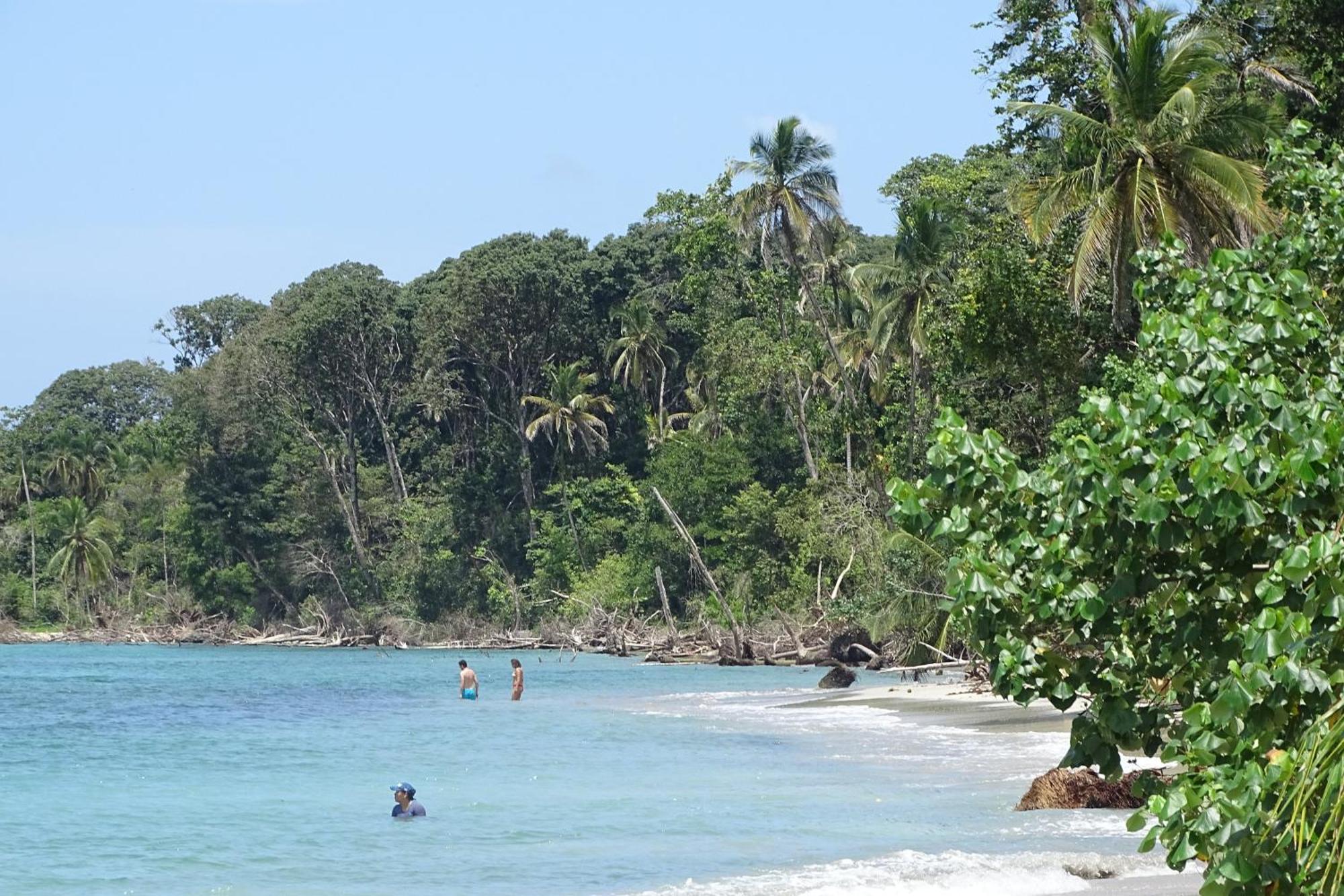 Cabinas Los Tucanes Cahuita Buitenkant foto